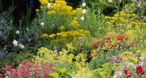 Image for The Flower Shed with ID of: 3231902