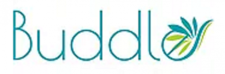 Image for Buddle, Inc. with ID of: 3234019