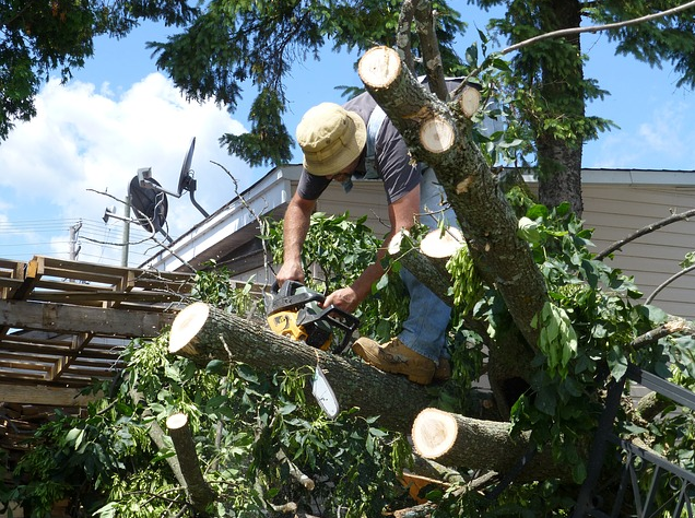 Image for Smiles Tree Removal LLC with ID of: 3234030