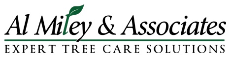 Image for Al Miley & Associates | Expert Tree Care Solutions with ID of: 3234143