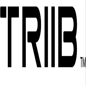Image for Triib with ID of: 3234791