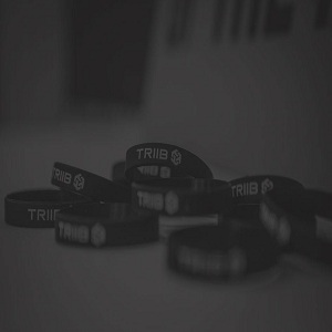 Image for Triib with ID of: 3234797