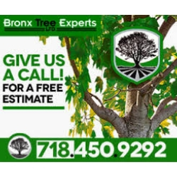 Image for Bronx Tree Experts LTD with ID of: 3235106