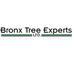 Image for Bronx Tree Experts LTD with ID of: 3235122