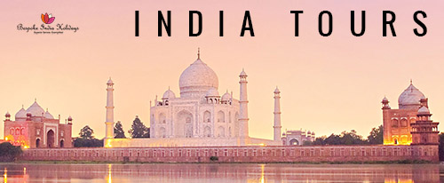 Image for India Tours with ID of: 3235389