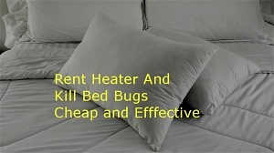 Image for Killbedbugshouston with ID of: 3236310