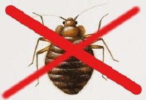 Image for Killbedbugshouston with ID of: 3236311