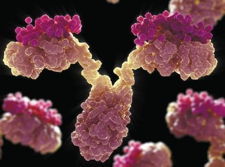 Image for recombinant antibody production with ID of: 3236819