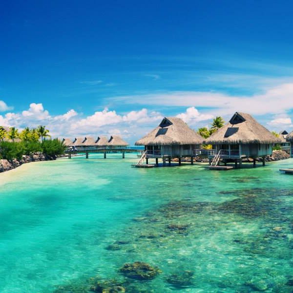 Image for Globe Travel with ID of: 3237073
