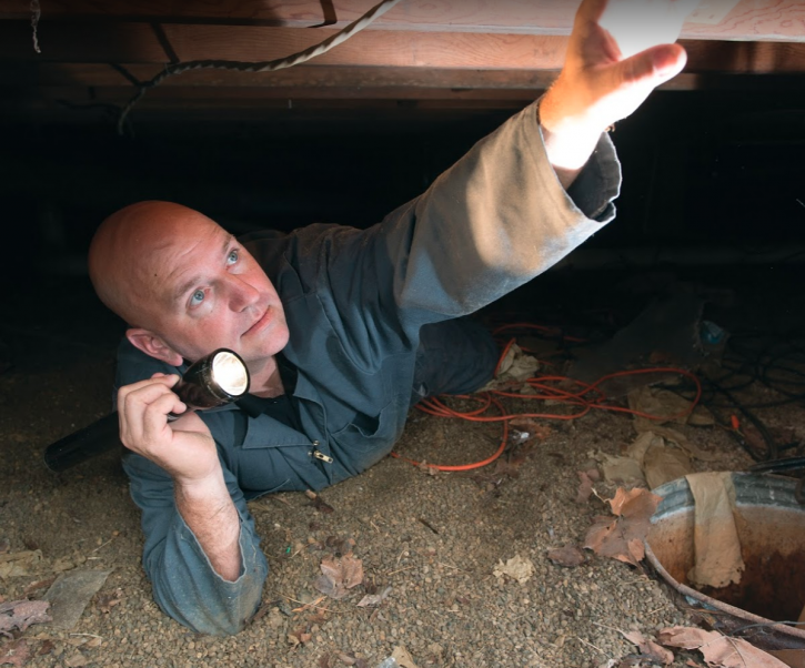 Image for Black Diamond Pest Control with ID of: 3241769