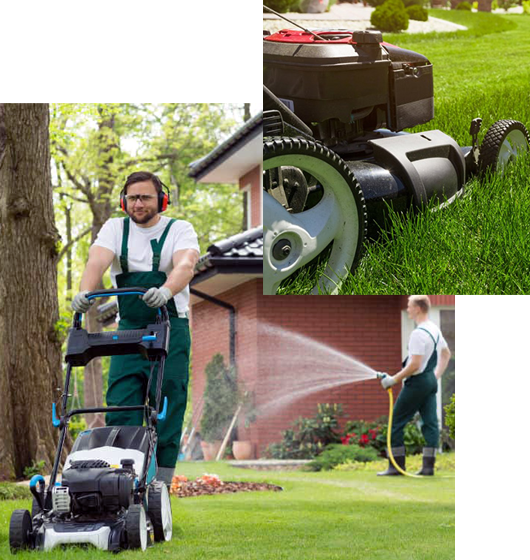 Image for Showcase Lawn Care with ID of: 3242856