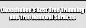 Image for Okeechobee’s Best Tree Trimming and Tree Removal Services with ID of: 3243686