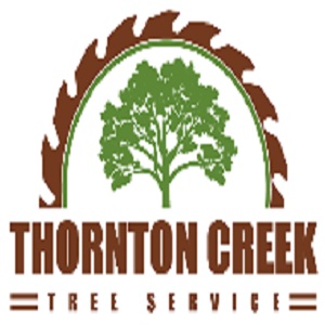 Image for Thornton Creek Tree Service with ID of: 3244706