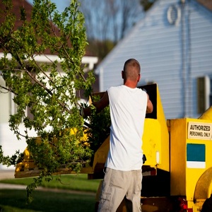 Image for Thornton Creek Tree Service with ID of: 3244713