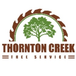 Image for Thornton Creek Tree Service with ID of: 3244814