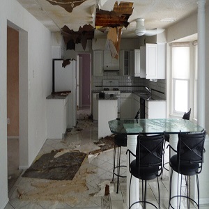 Image for Organic Home Service with ID of: 3245362