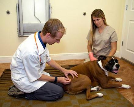 Image for Venice Pines Veterinary Clinic with ID of: 3245833