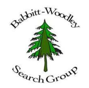 Image for Babbitt Woodley Search Group with ID of: 3246970