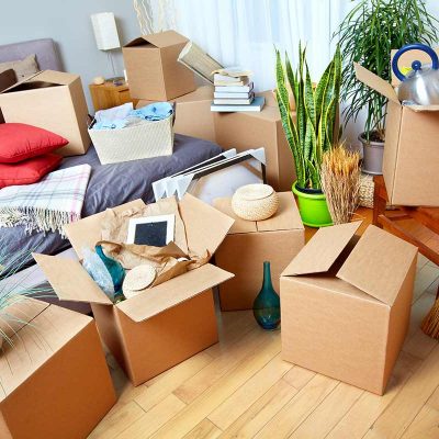 Image for Blue Diamond Housekeeping Agency with ID of: 3247002