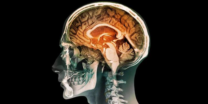 Image for Central Nervous System Biomarkers Market Size, Application, Share, Qualitative Research and Competitive Strategy Analysis till 2018-2026 with ID of: 3251285