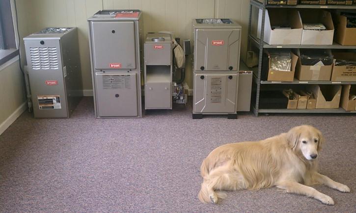 Image for D&G Heating and Cooling, Inc. with ID of: 3251785
