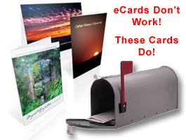 Image for SendOutCards with ID of: 3252