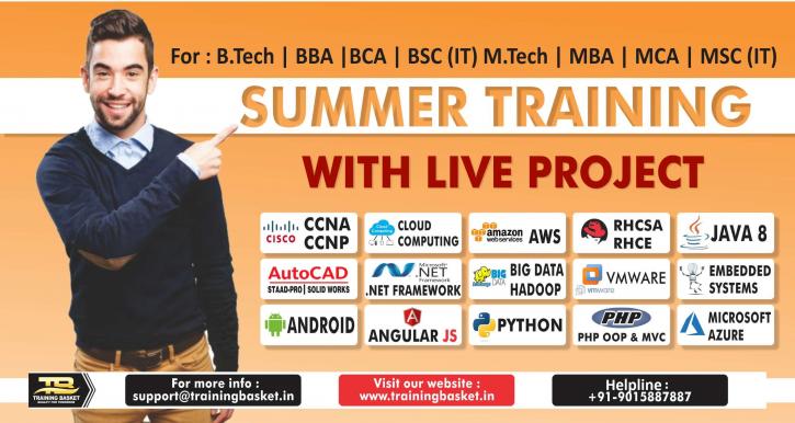 Image for 2019-Summer Training In Noida | Training Basket with ID of: 3252619