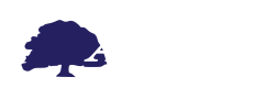 Image for Avenues Therapy Clinic with ID of: 3252711