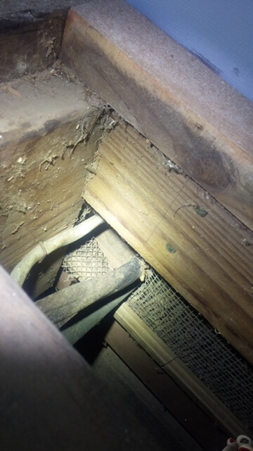 Image for Done Right Rodent Proofing with ID of: 3253305