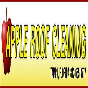 Image for apple roof cleaning tampa florida with ID of: 3253649