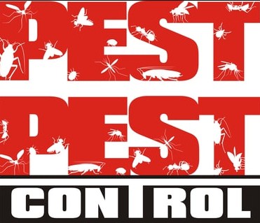 Image for Best Miami Pest Control Service with ID of: 3254168