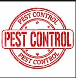 Image for Best Miami Pest Control Service with ID of: 3254181