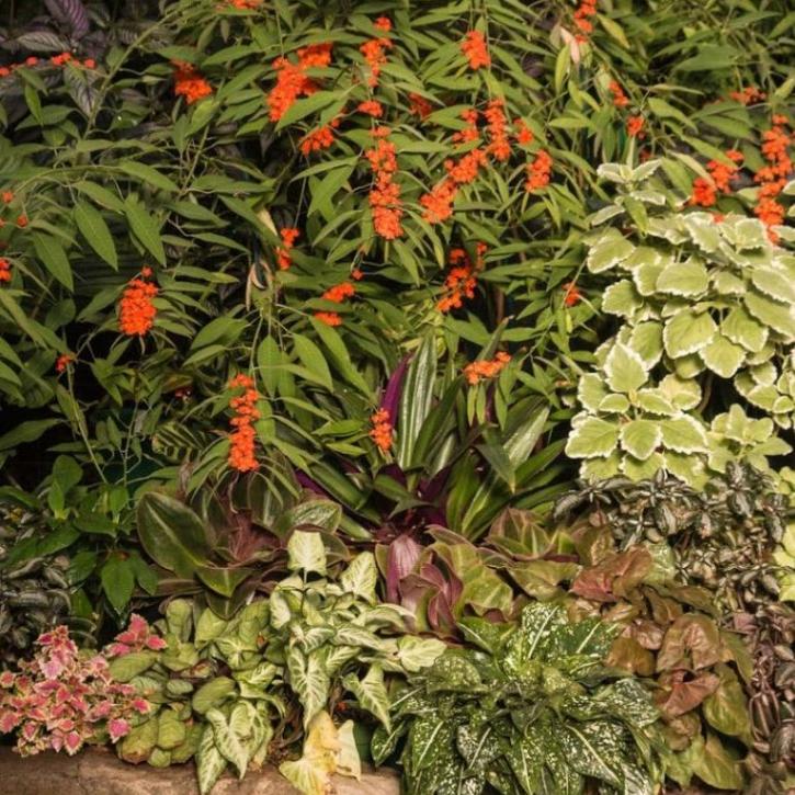 Image for Russell's Irrigation & Landscaping with ID of: 3254558