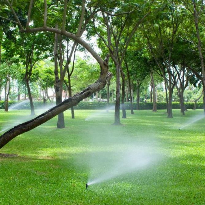 Image for Russell's Irrigation & Landscaping with ID of: 3254560