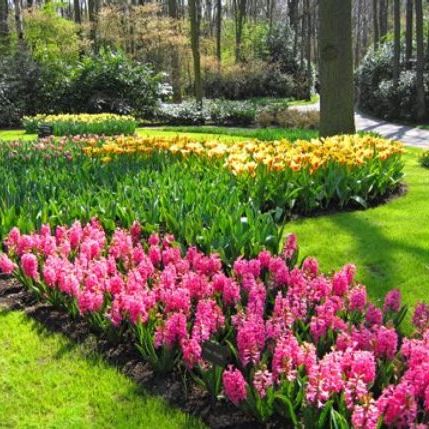 Image for Russell's Irrigation & Landscaping with ID of: 3254566