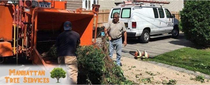 Image for Manhattan Tree Services with ID of: 3256039