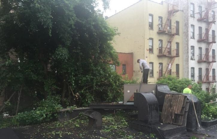 Image for Manhattan Tree Services with ID of: 3256041