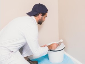 Image for Palm Bay Paint Company with ID of: 3256593
