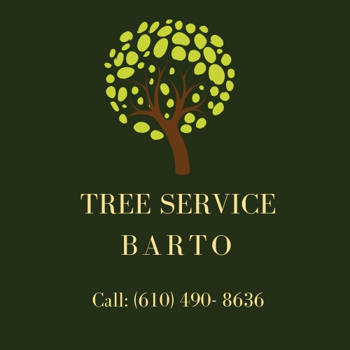 Image for Tree Service Barto with ID of: 3257238