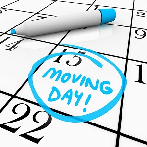 Image for Wasatch Moving Company with ID of: 3257499
