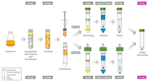 Image for upconverting nanoparticles with ID of: 3258159