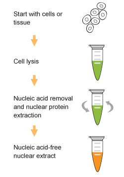 Image for titania nanoparticles with ID of: 3258163
