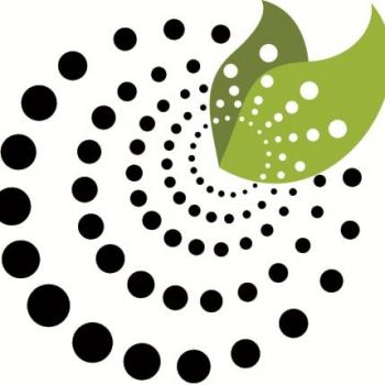 Image for Absolute Health Medical Center with ID of: 3258524