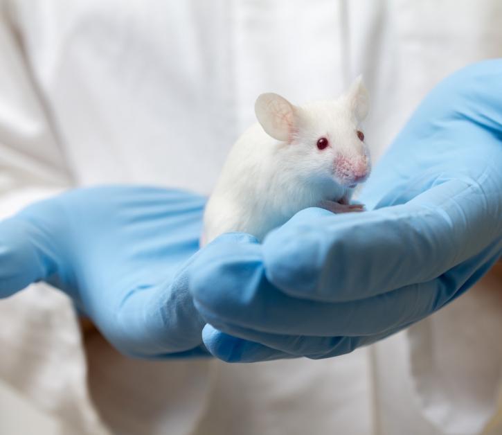 Image for Animal Model Market Set Explosive Growth to 2026 with ID of: 3258542