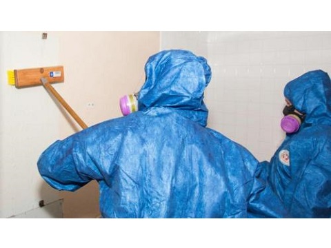 Image for Spaulding Decon Tampa with ID of: 3258613