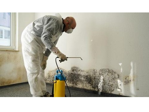 Image for Spaulding Decon Tampa with ID of: 3258618