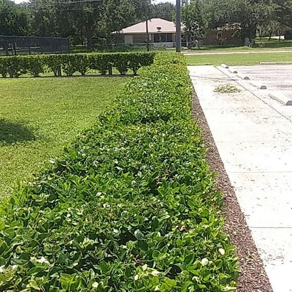 Image for Hernandez Landscaping with ID of: 3259344