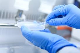 Image for Small Molecule API Market: Top Global Players Competition with Production, Consumption, Revenue and Gross Margin by 2026 with ID of: 3261163