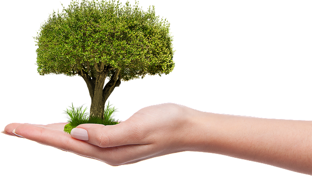 Image for Tree Service Farmington Hills Pros with ID of: 3261920