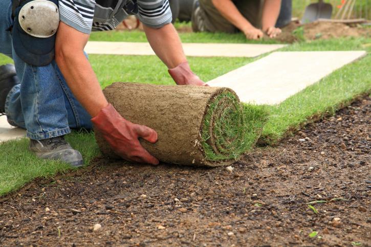 Image for Scientific Turf Inc. with ID of: 3262067
